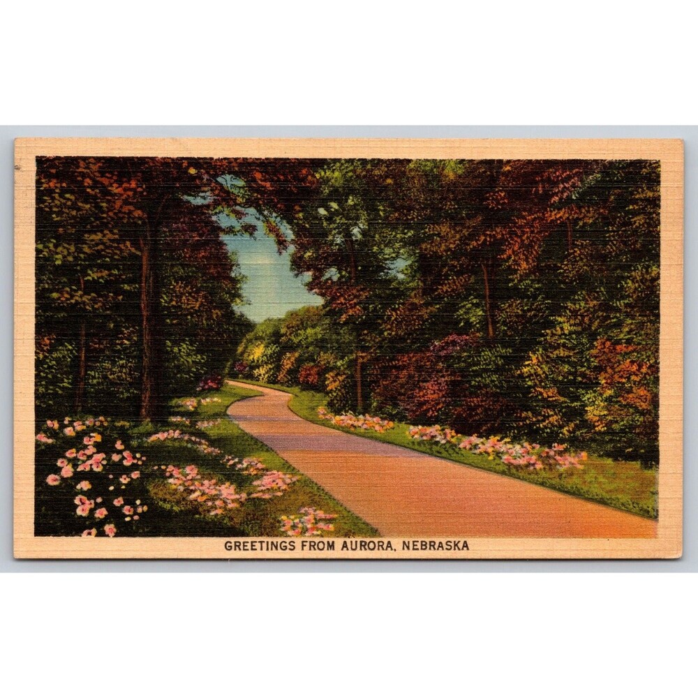 Postcard Nebraska Aurora Greetings Linen Country Road Posted 1941 Vintage NE